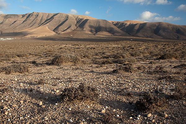 Lanzarote (Kanarische Inseln)