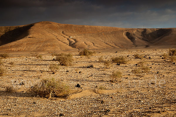 Lanzarote (Kanarische Inseln)