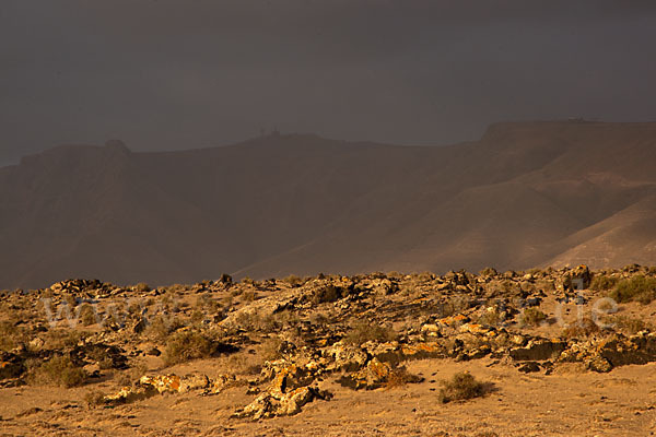 Lanzarote (Kanarische Inseln)