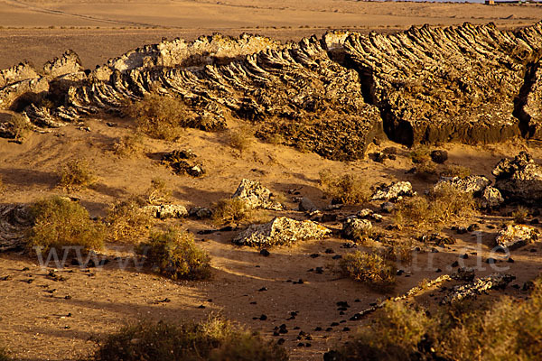 Lanzarote (Kanarische Inseln)