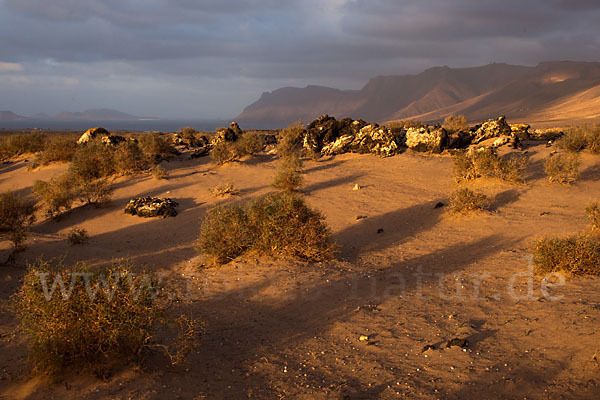 Lanzarote (Kanarische Inseln)