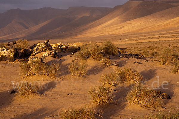 Lanzarote (Kanarische Inseln)