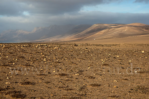 Lanzarote (Kanarische Inseln)