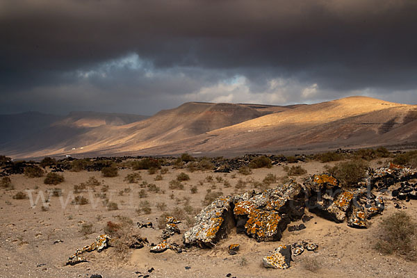 Lanzarote (Kanarische Inseln)