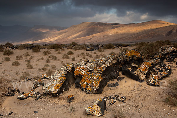 Lanzarote (Kanarische Inseln)