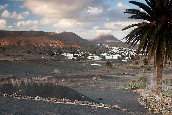 Lanzarote (Kanarische Inseln)