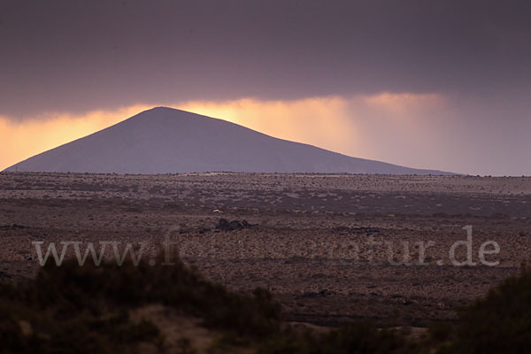 Lanzarote (Kanarische Inseln)