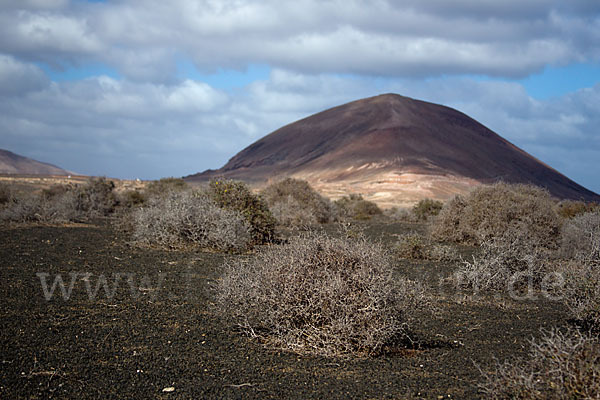 Lanzarote (Kanarische Inseln)