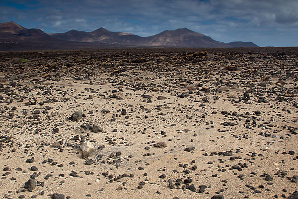 Lanzarote (Kanarische Inseln)