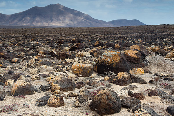 Lanzarote (Kanarische Inseln)