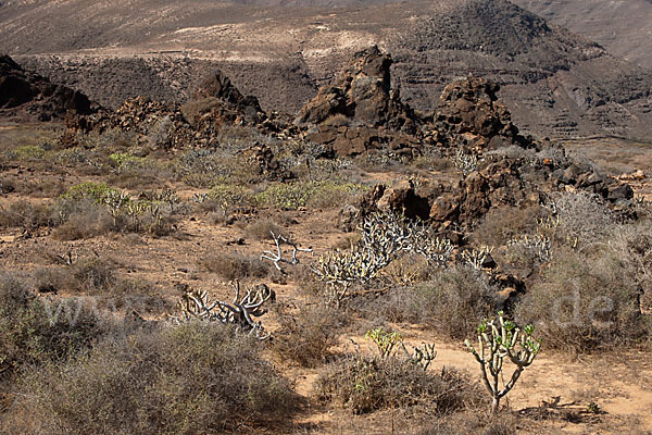 Lanzarote (Kanarische Inseln)