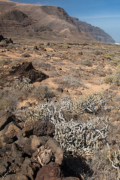 Lanzarote (Kanarische Inseln)