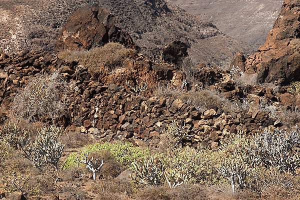 Lanzarote (Kanarische Inseln)