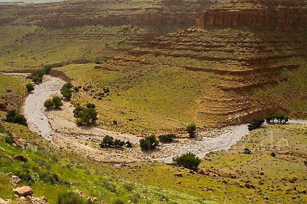 Marokko (Morocco)