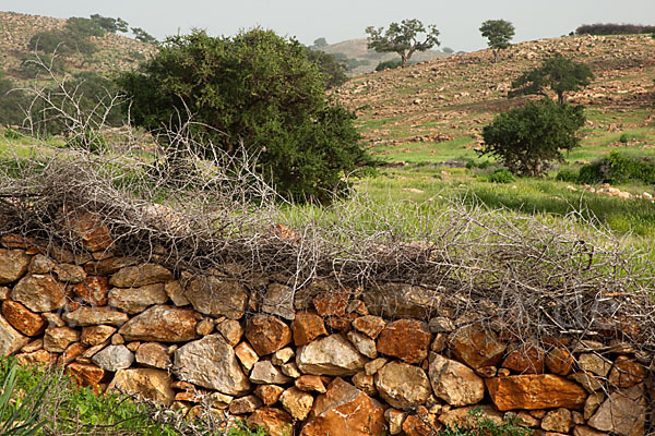 Marokko (Morocco)