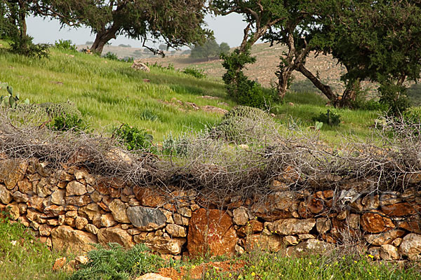 Marokko (Morocco)