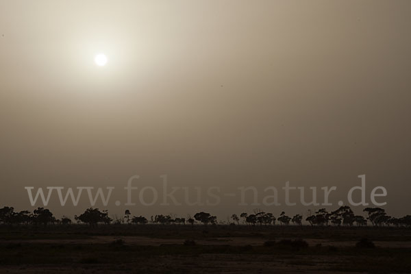 Marokko (Morocco)