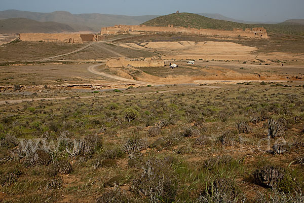 Marokko (Morocco)