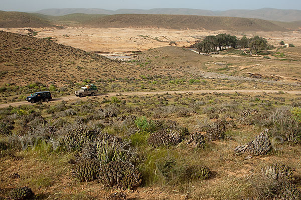 Marokko (Morocco)