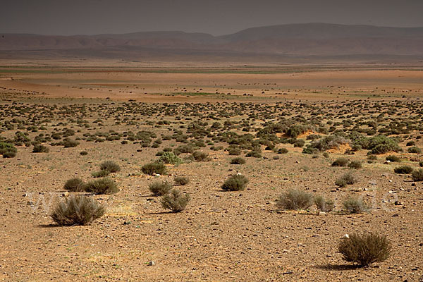 Marokko (Morocco)