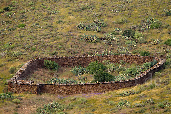 Marokko (Morocco)