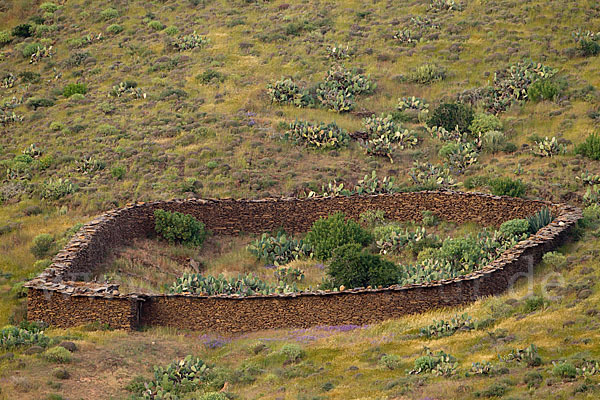 Marokko (Morocco)