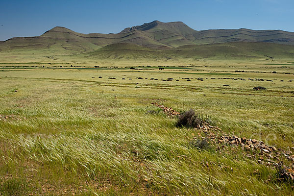 Marokko (Morocco)