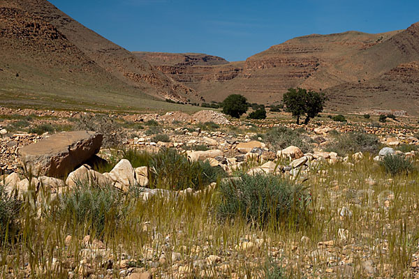 Marokko (Morocco)