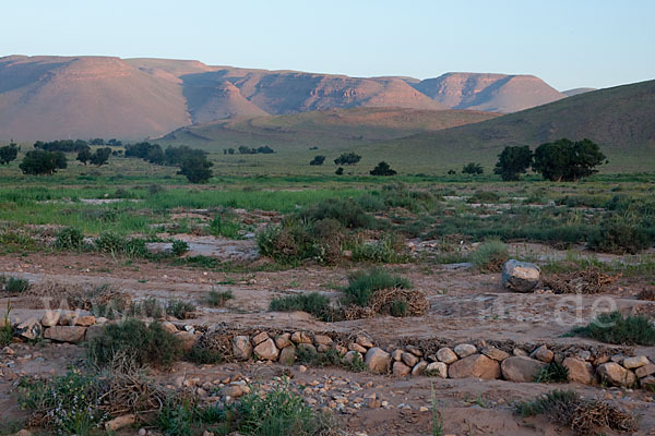 Marokko (Morocco)