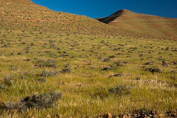 Marokko (Morocco)