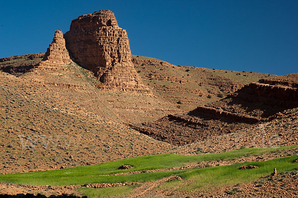 Marokko (Morocco)