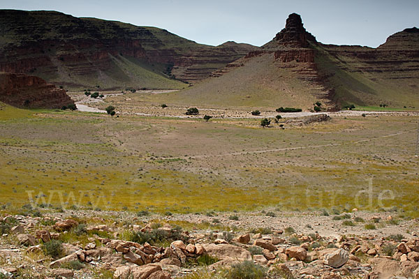 Marokko (Morocco)