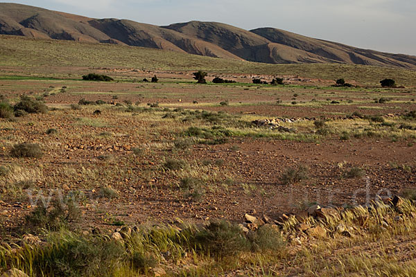 Marokko (Morocco)