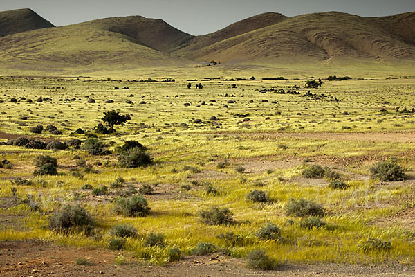 Marokko (Morocco)