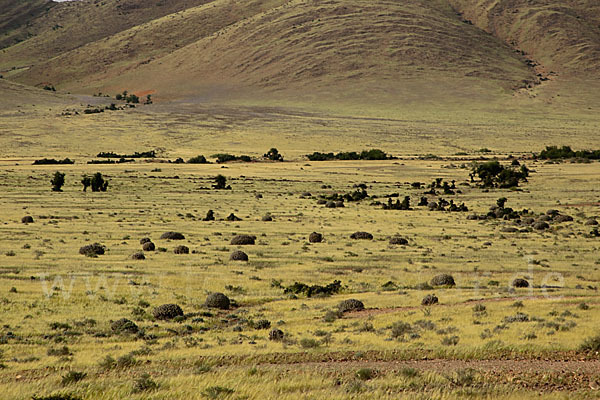 Marokko (Morocco)