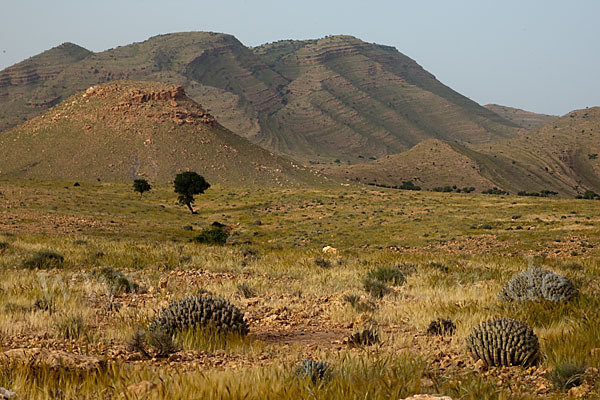 Marokko (Morocco)