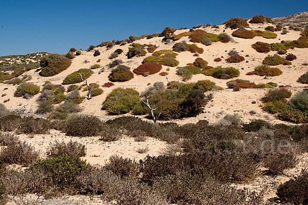 Marokko (Morocco)