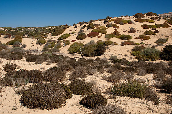 Marokko (Morocco)