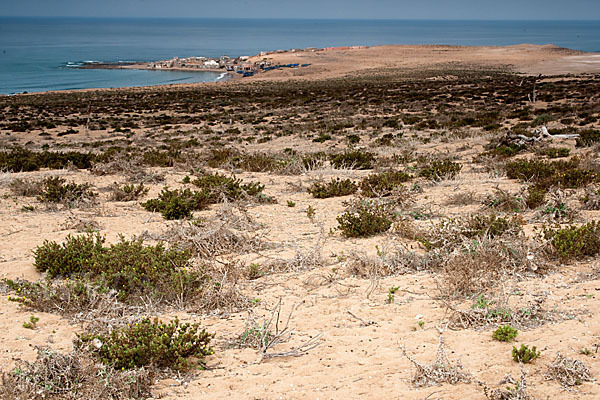 Marokko (Morocco)