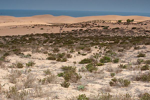 Marokko (Morocco)