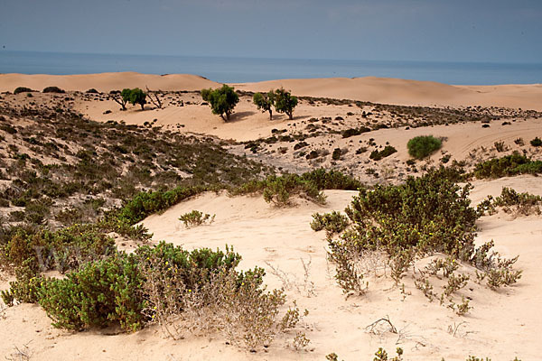 Marokko (Morocco)