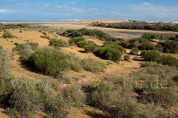 Marokko (Morocco)