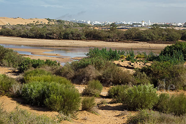 Marokko (Morocco)