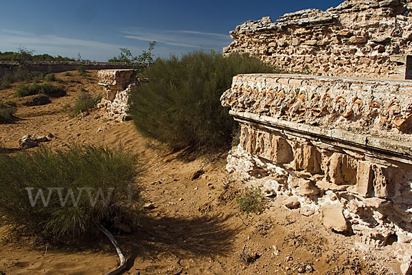 Marokko (Morocco)