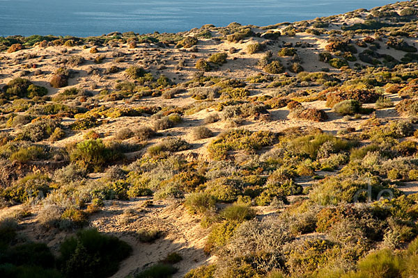 Marokko (Morocco)