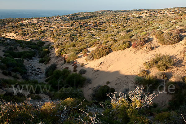 Marokko (Morocco)