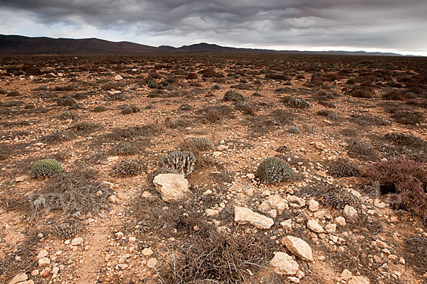 Marokko (Morocco)