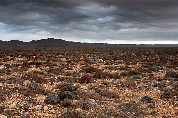 Marokko (Morocco)