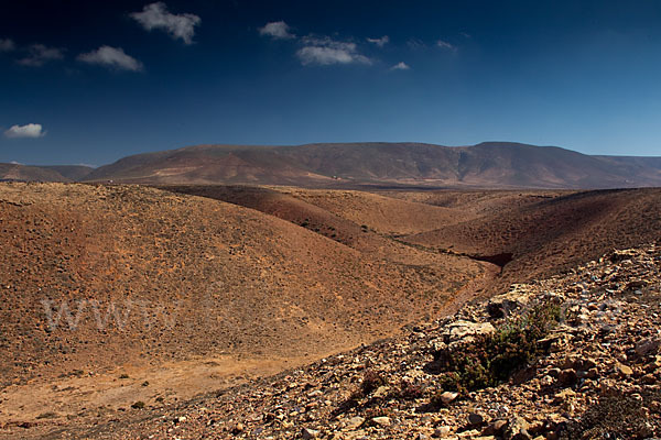 Marokko (Morocco)