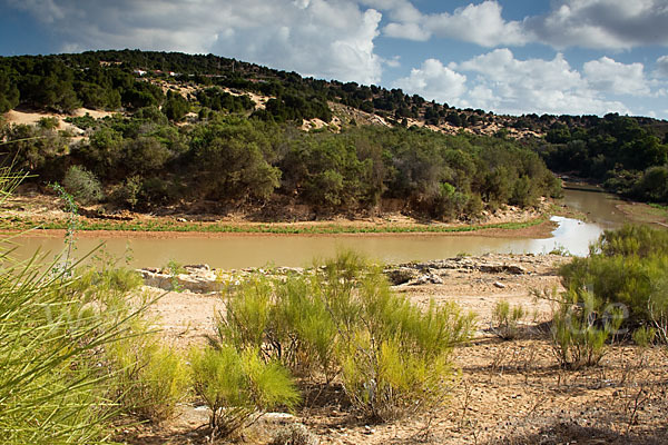 Marokko (Morocco)